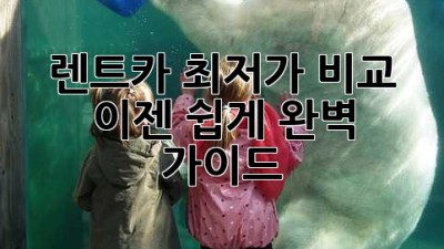 렌트카 최저가 비교? 이젠 쉽게! 완벽 가이드