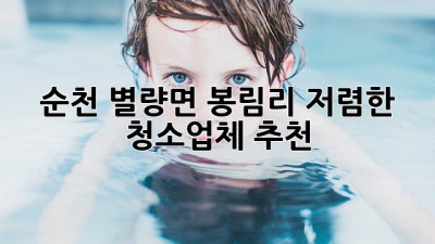 순천 별량면 봉림리 저렴한 청소업체 추천