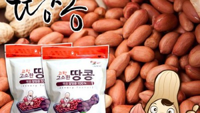 코스트코 볶음땅콩: 핵인싸템, 솔직 후기 & 꿀팁 대방출!